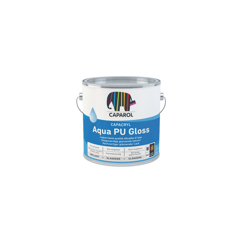 Capacryl Aqua PU Gloss